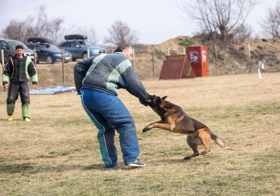 Spectacol canin la Mândruloc