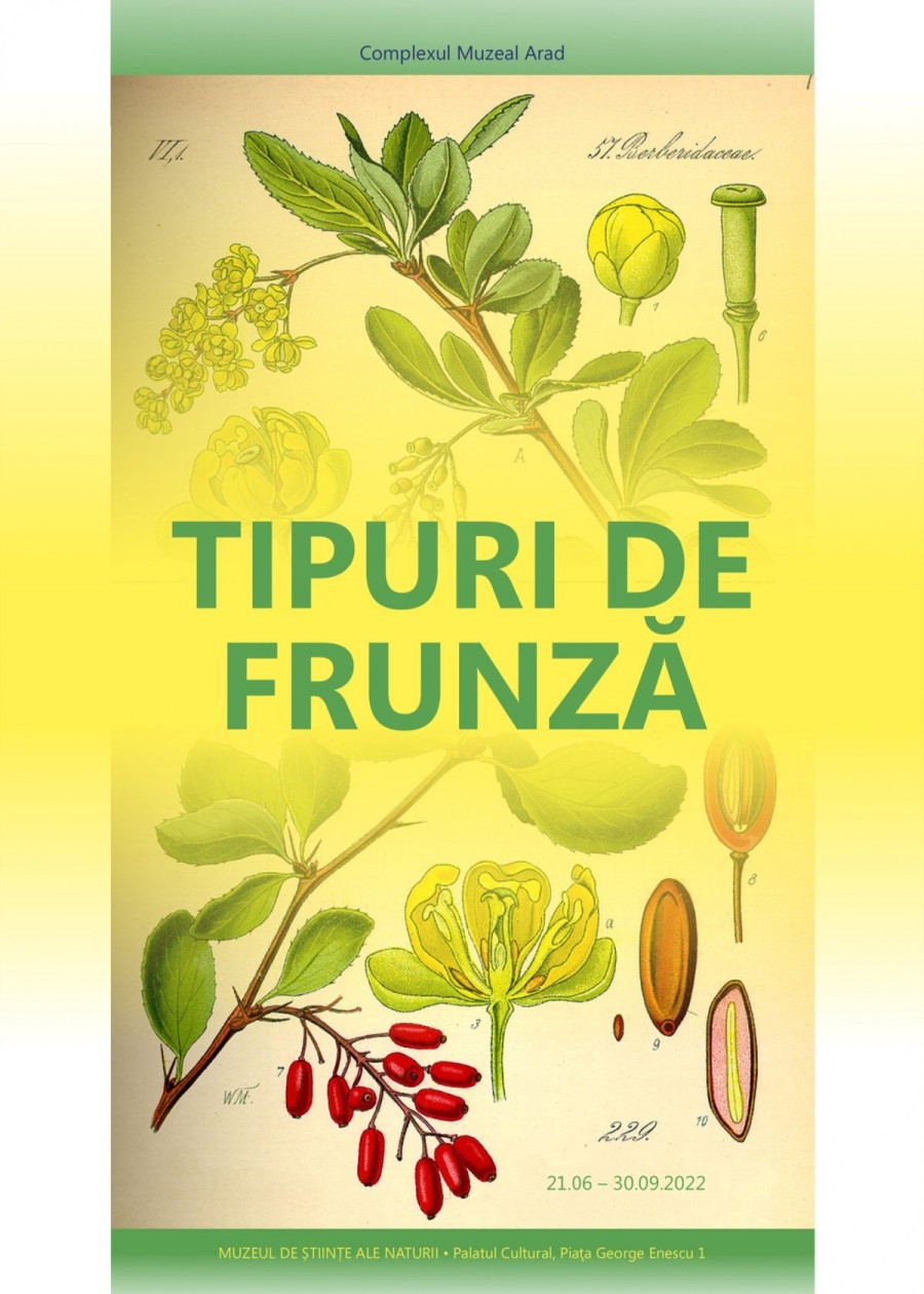 Complexul Muzeal Arad: Expoziția ”Tipuri de frunză”. Muzeul de Științe ale Naturii (21.06-30.09.2022)