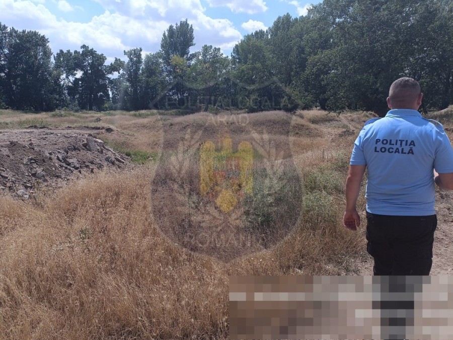 Prins cu molozul... pe câmp, un individ a fost pus de poliţiştii locali să facă curăţenie