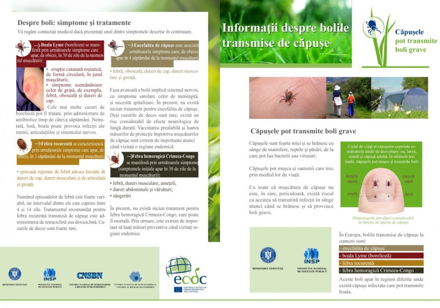 Bolile transmise prin insecte și rozătoare revin odată cu încălzirea vremii