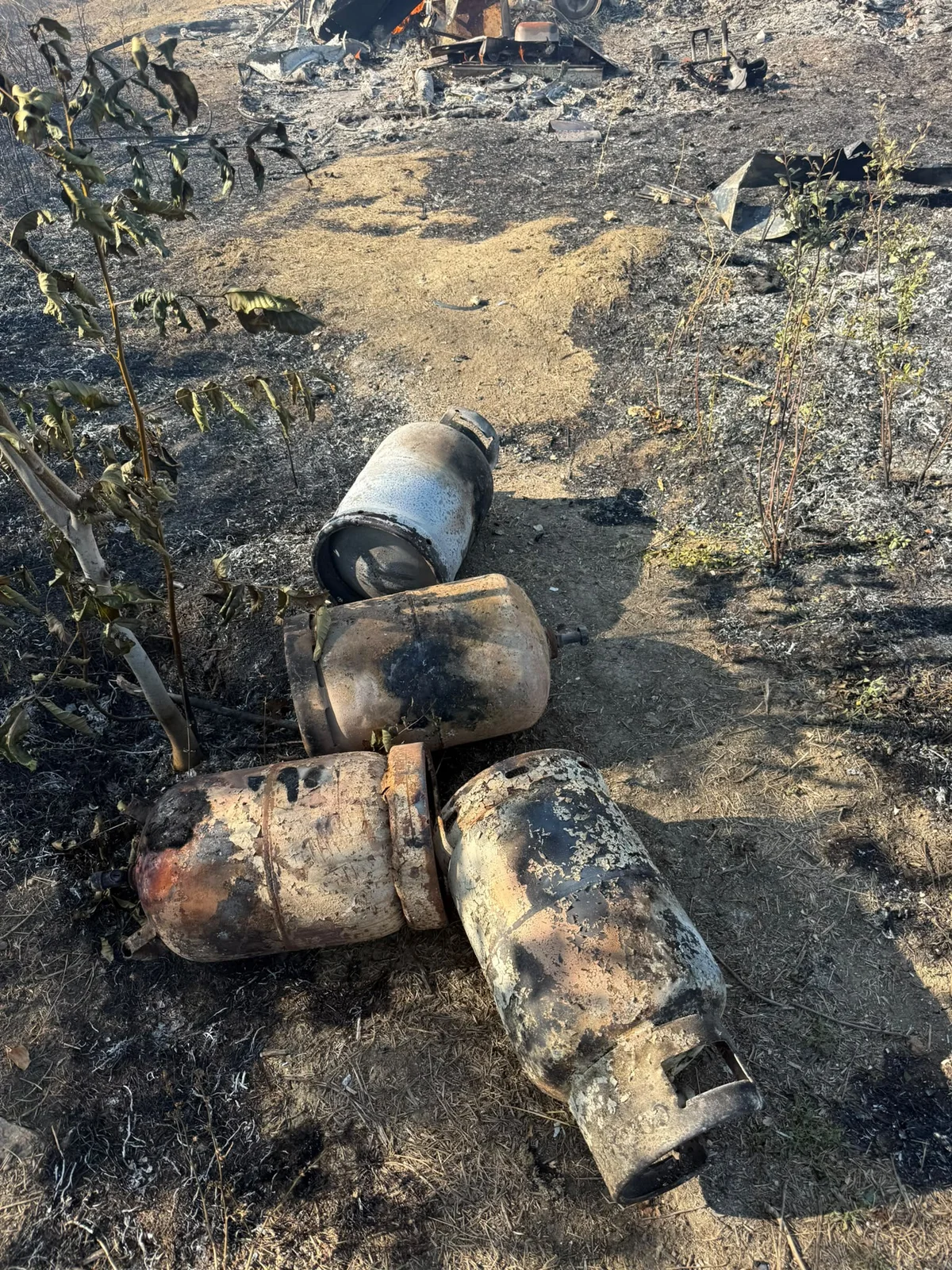 Pompierii au stins un incendiu de 3 hectare în zona străzii Cometei